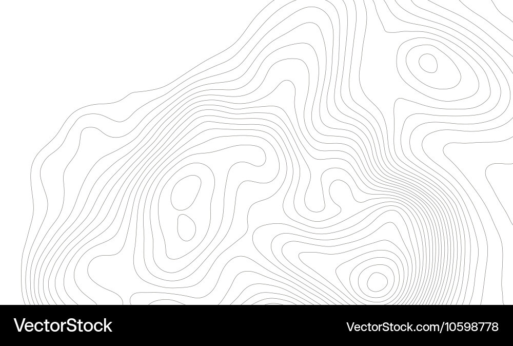 Topographic Map Pattern vector image