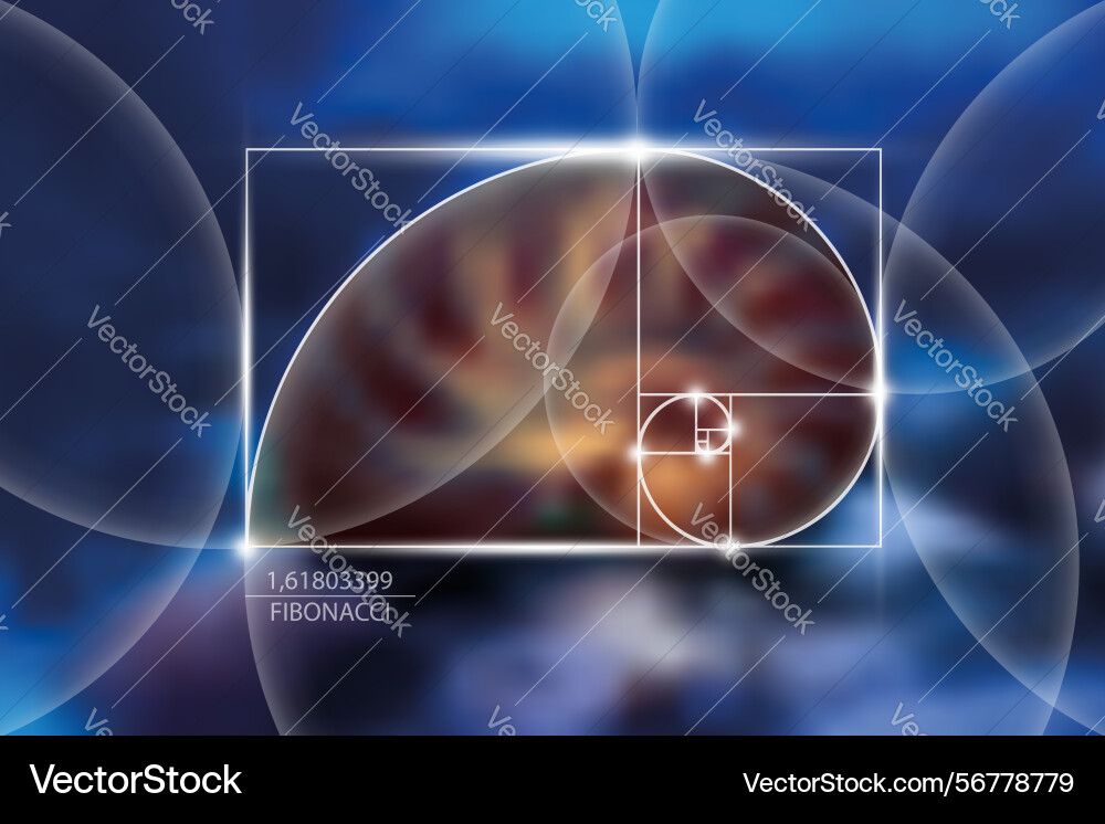 Fibonacci Nummer Sequenz goldenes Verhältnis seashell Fibonacci Nummer Sequenz goldenes Verhältnis seashell vektorbild