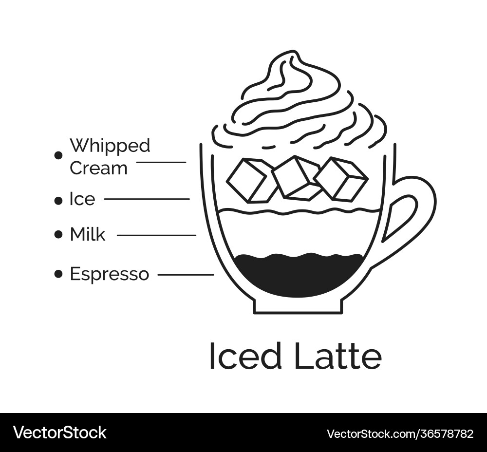 Infographic iced latte coffee vector image