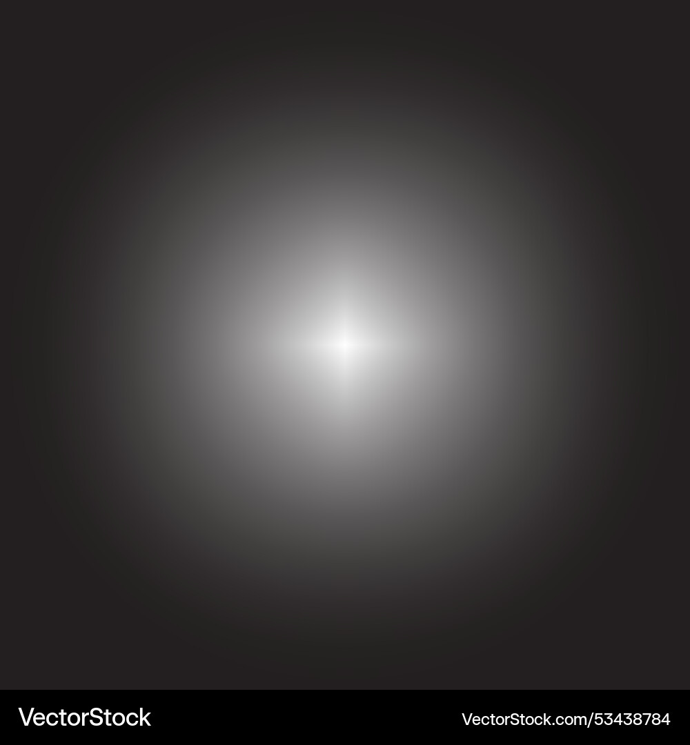 Black to white radial gradient central bright Vector Image