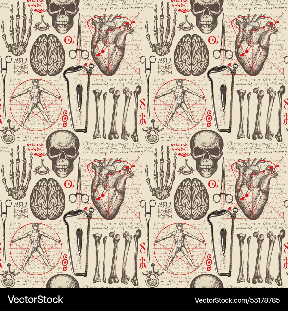 Anatomy seamless pattern with organs Anatomy seamless pattern with organs vector image
