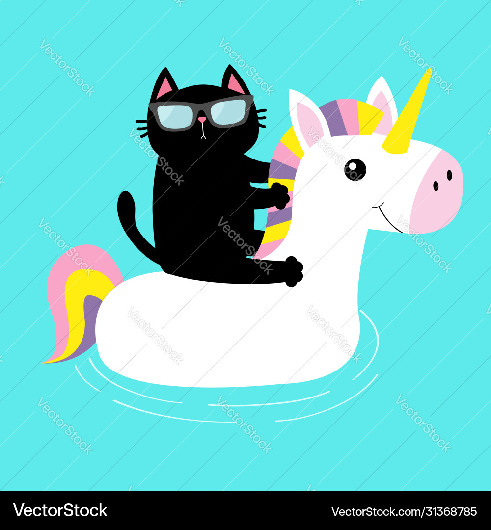 Black Cat on Unicorn Pool Float vector image