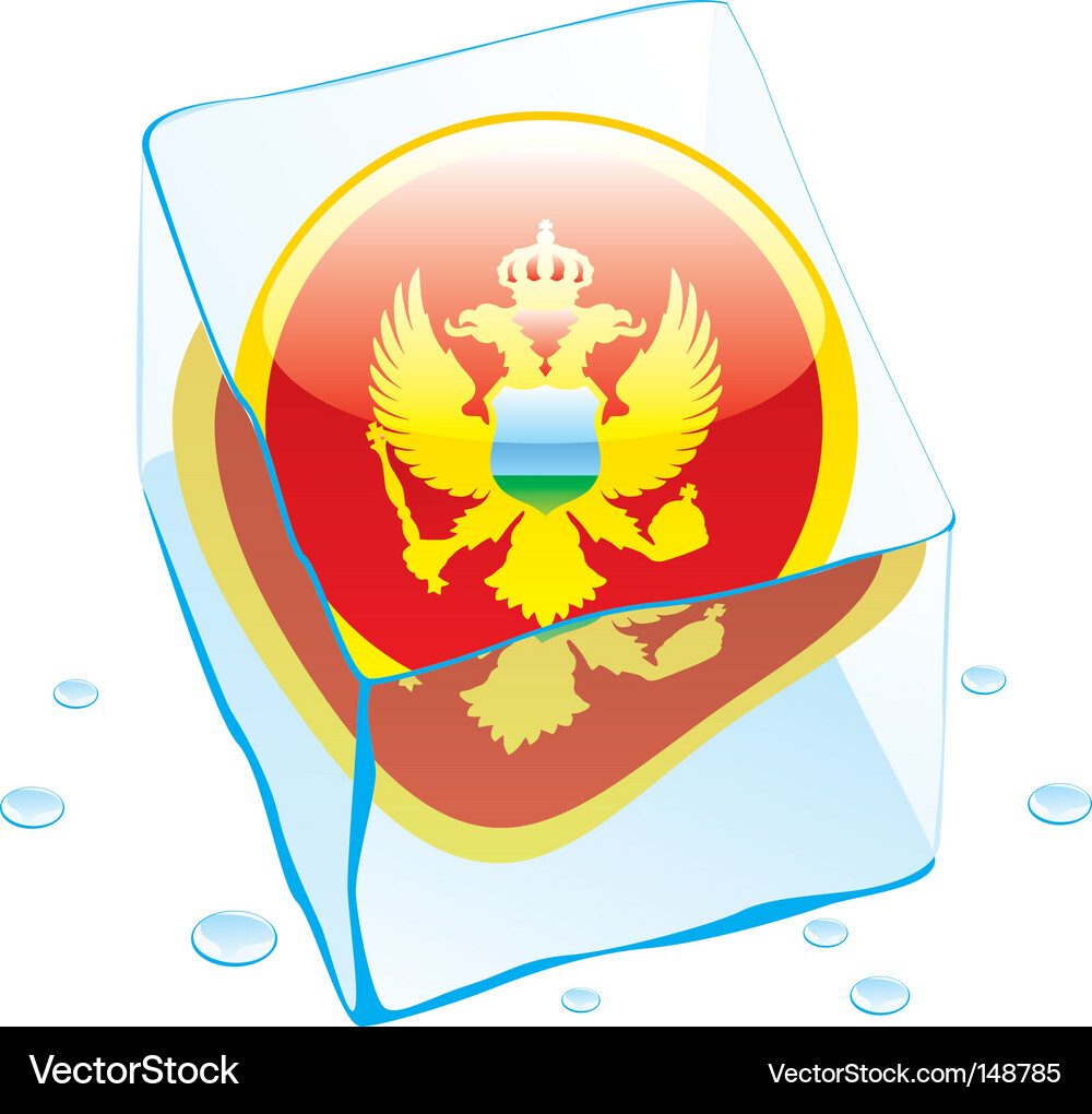 Frozen button flag of montenegro Vector Image