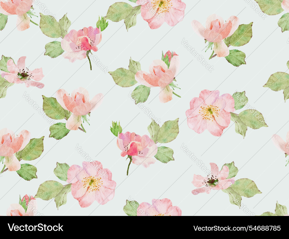 Watercolor pink old rose clair martin english Watercolor pink old rose clair martin english Vector Image