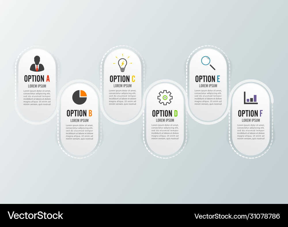 Template timeline infographic colored horizontal Vector Image