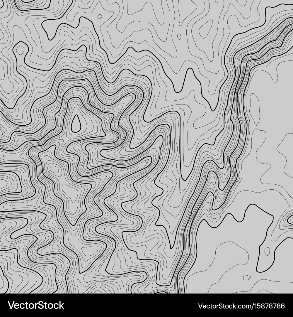 Topographic map background with space for copy vector image