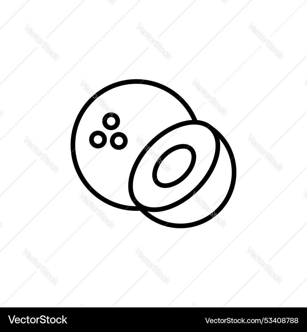 Coconut icon isolated on white background Coconut icon isolated on white background vector image