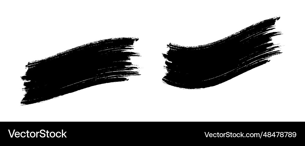 Paintbrush set brush strokes templates vector image