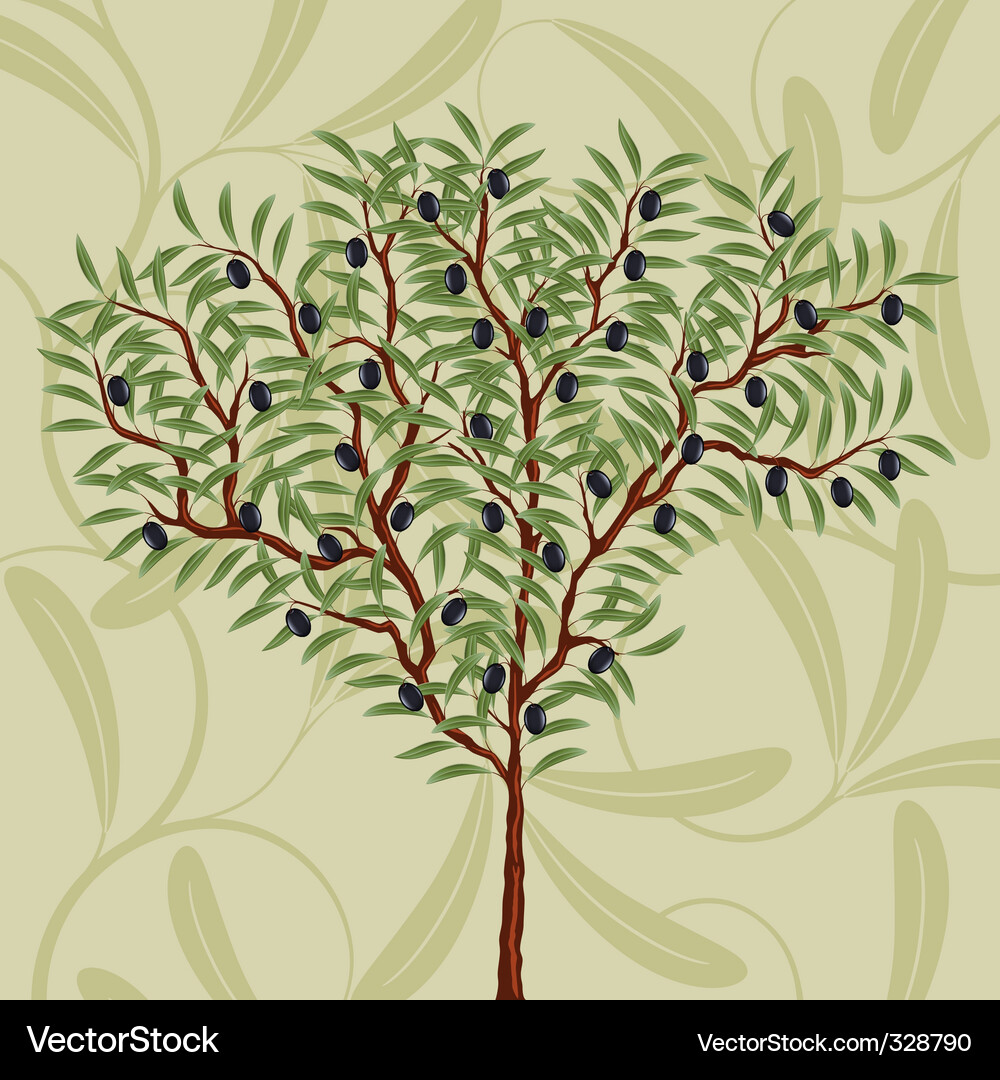 Olive Branch Pattern Vector Image