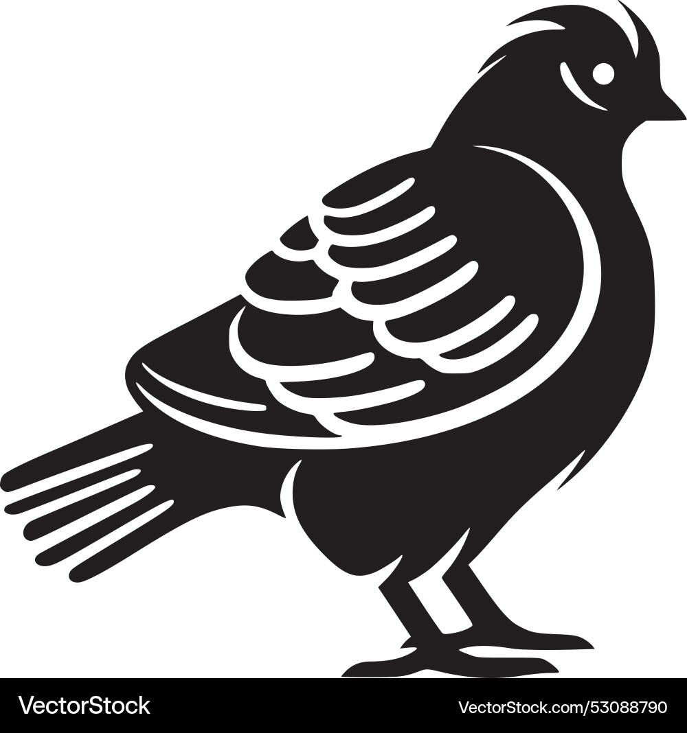 Pigeon - hochwertiges Logo ideal für T-Shirt Pigeon - hochwertiges Logo ideal für T-Shirt vektorbild