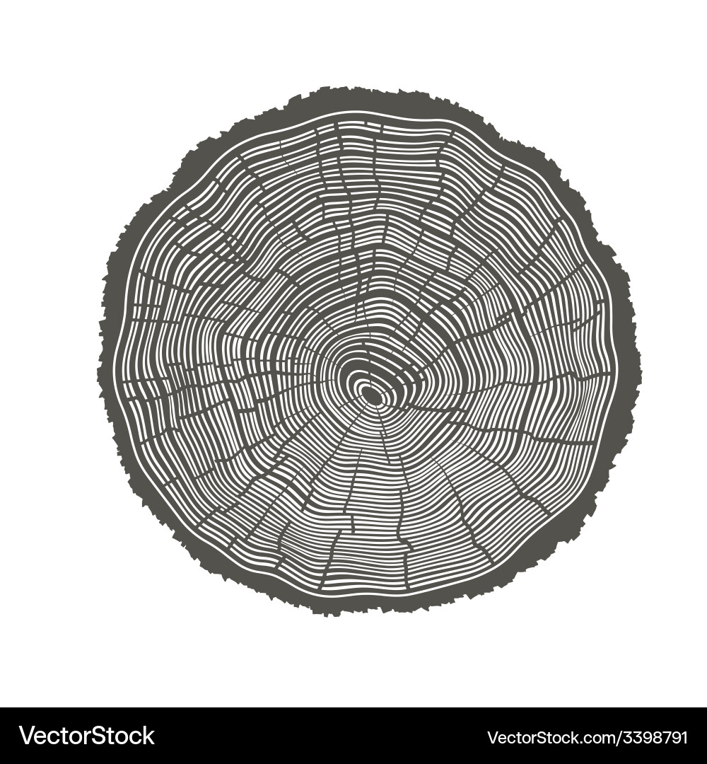 Tree Rings Pattern vector image
