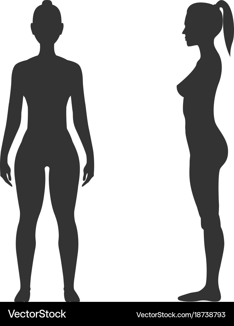 Woman black silhouette front and side view vector image