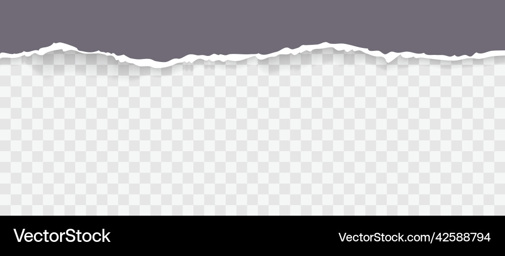 Torn paper with ripped edges and soft shadow Torn paper with ripped edges and soft shadow vector image