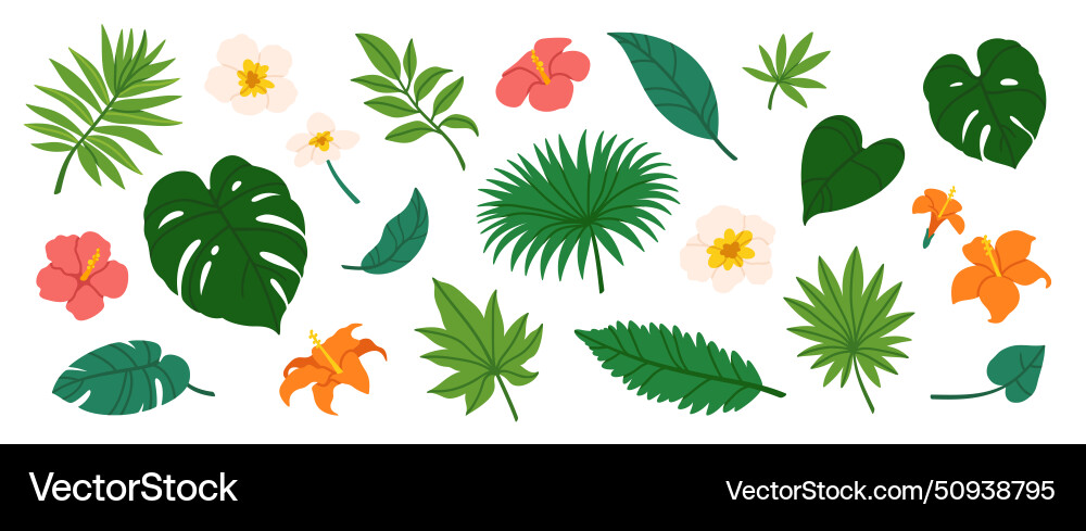 Tropical leaves cartoon jungle exotic palm plants Tropical leaves cartoon jungle exotic palm plants vector image