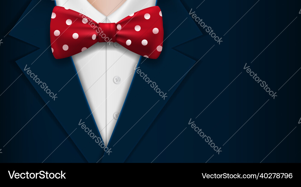 Man in suit and bow tie with polka dots pattern vector image