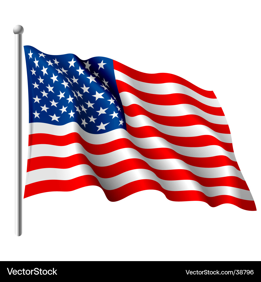 Waving American Flag vector image