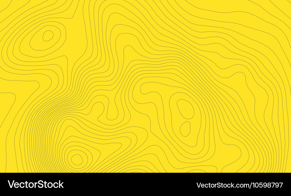Topographic Map Pattern vector image