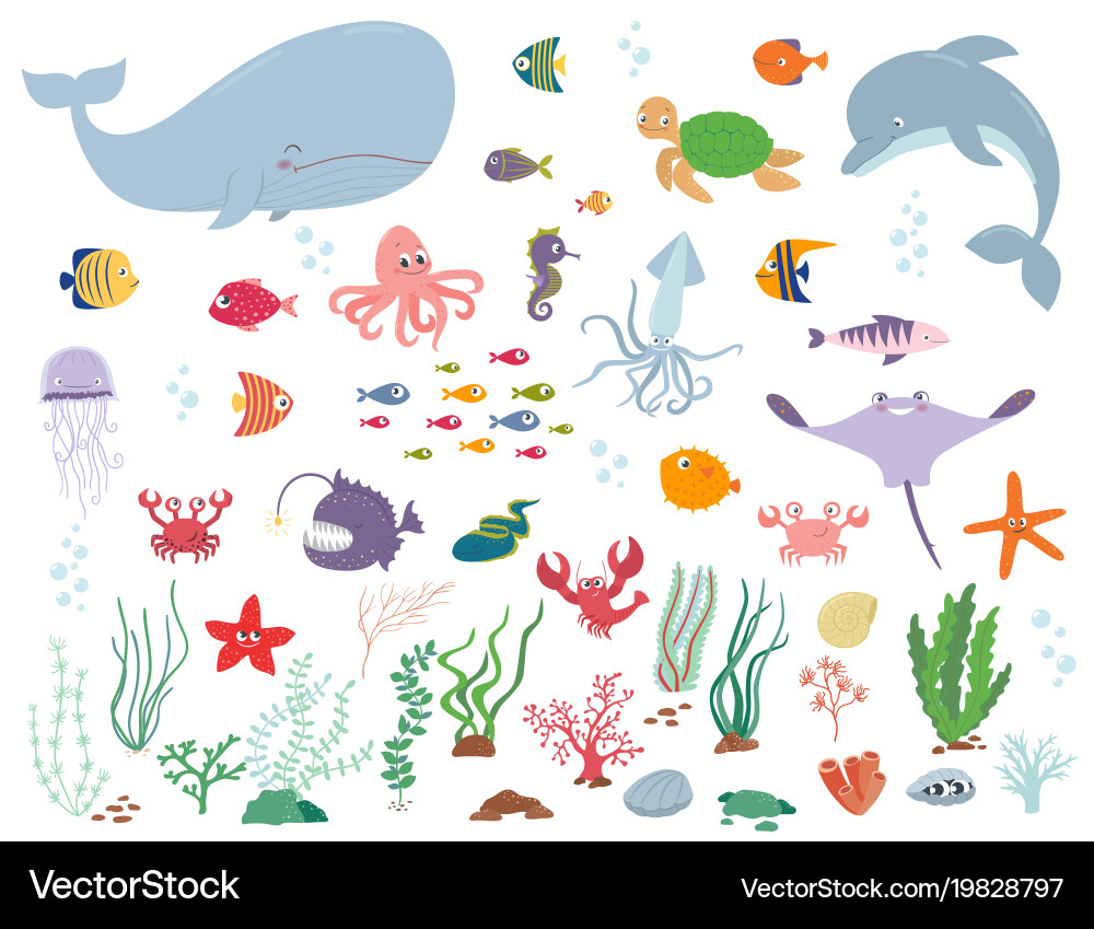 Underwater Marine Life vector image