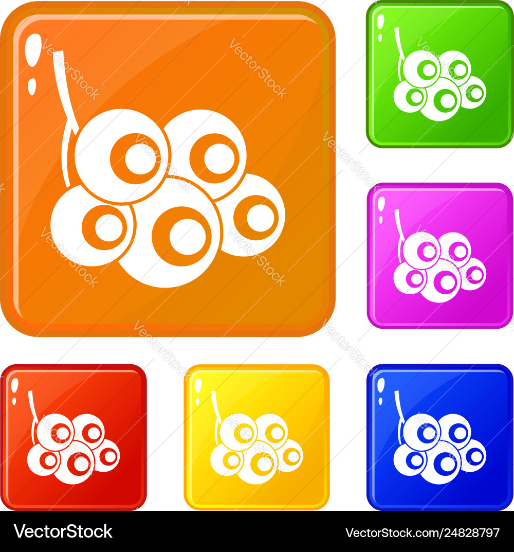 Viburnum branch icons set color Viburnum branch icons set color vector image