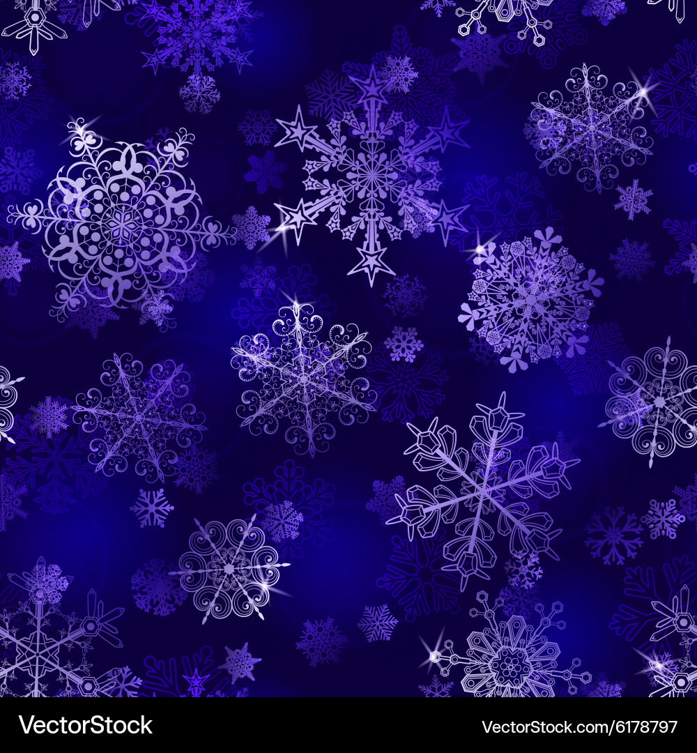 Winter Snowflake Pattern vector image