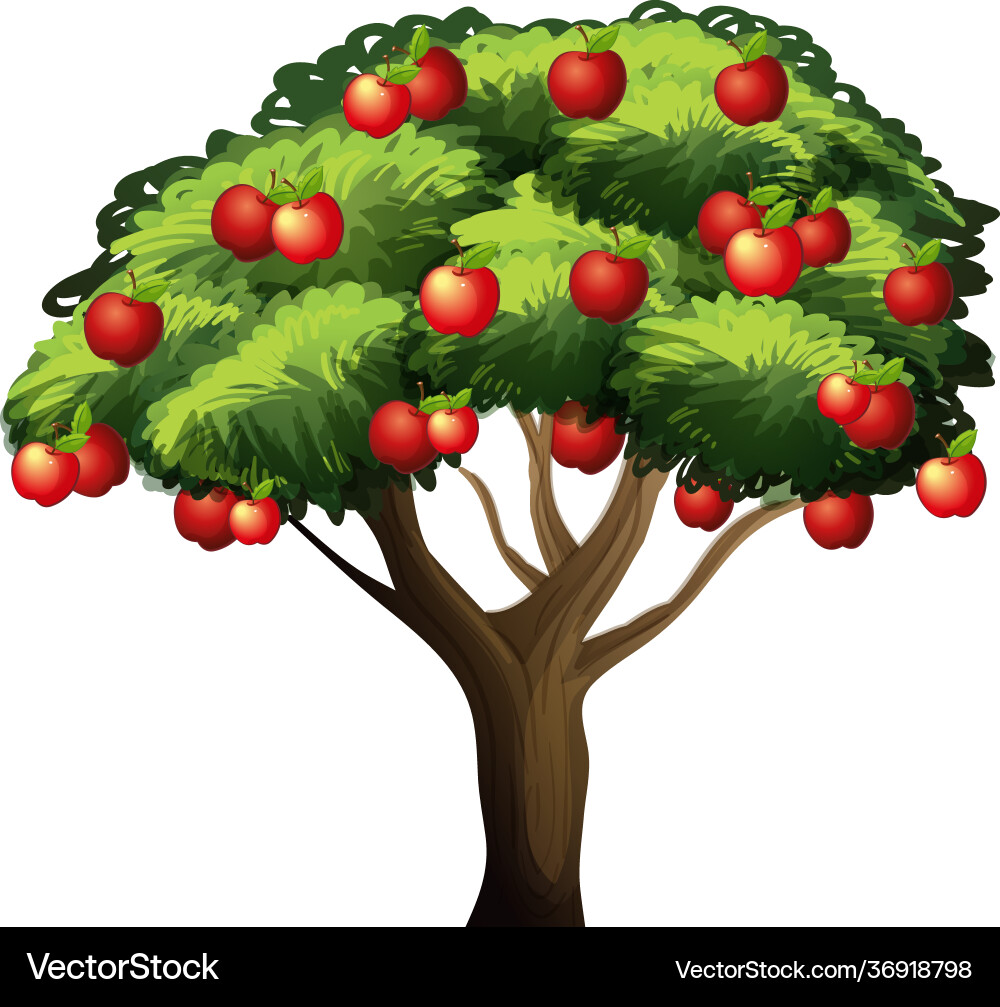 Apple tree isolated on white background Royalty Free Vector