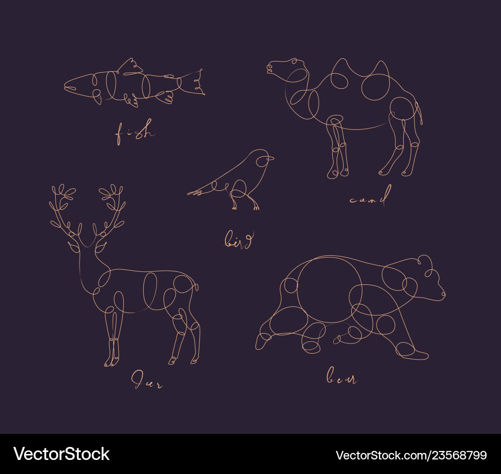 Animal pen line fish dark Animal pen line fish dark vector image