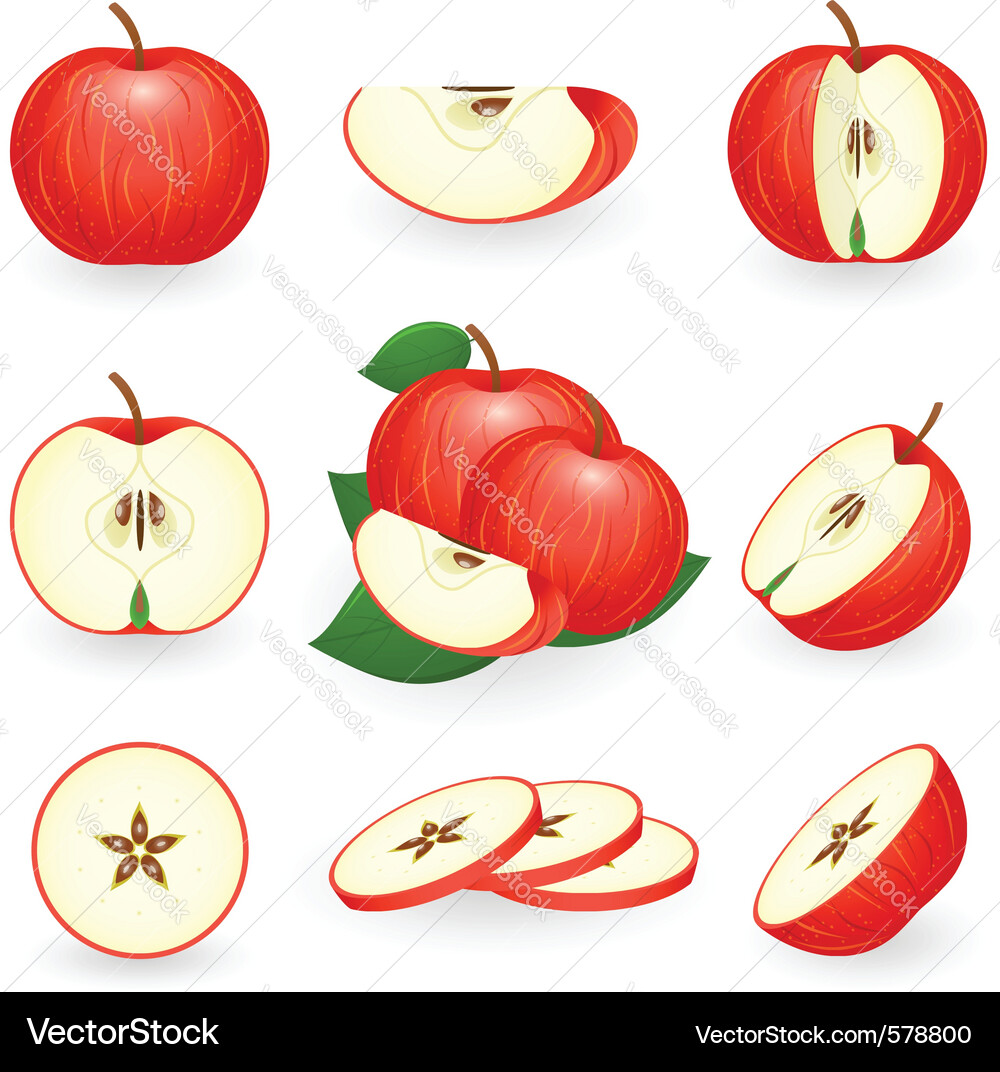 Isolated Red Apple Slice Vector Image