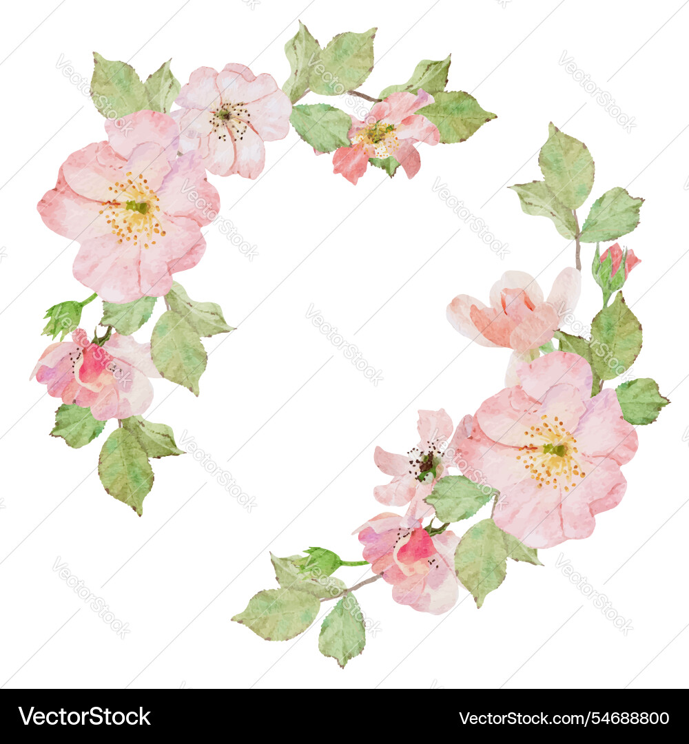 Watercolor Pink Rose Wreath Vector Image
