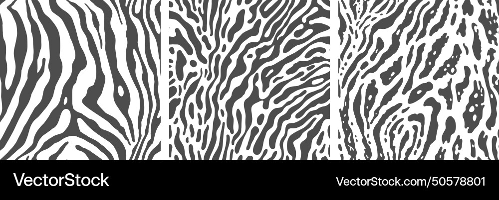 Set of monochrome zebra print backgrounds Set of monochrome zebra print backgrounds vector image