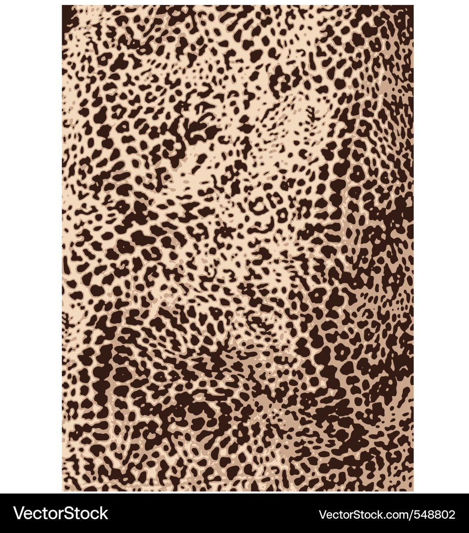 Animal Print Pattern Vector Image