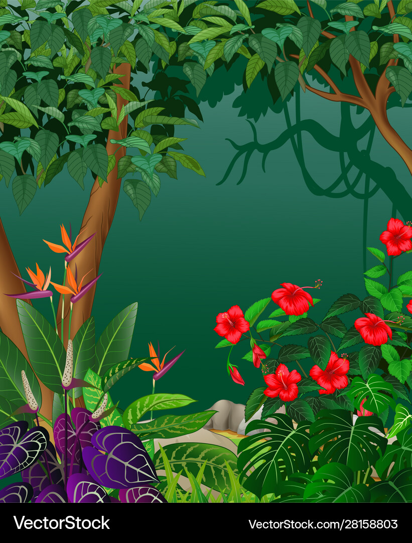Beautiful forest view with tropical plants cartoon – Royalty-Free Vector |  VectorStock, image size:821x1080