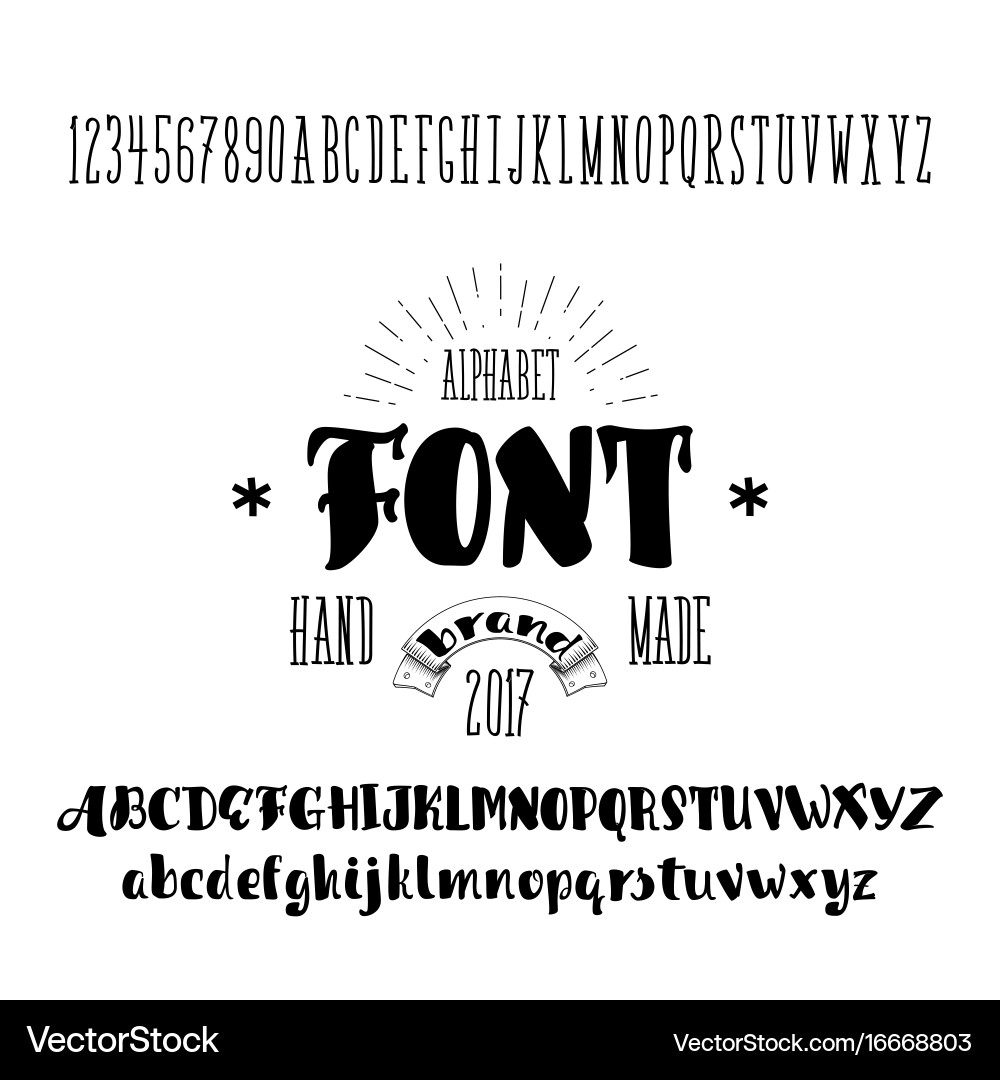 Elegant Calligraphic Font - Script & Lettering vector image