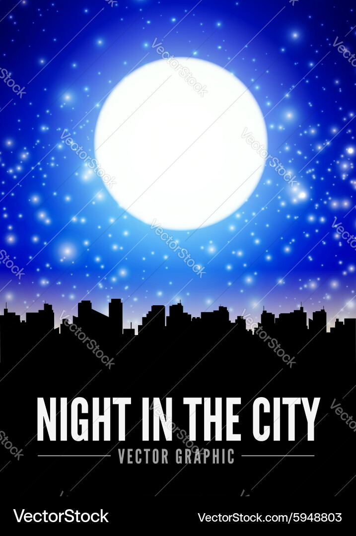 Night city Vector Image