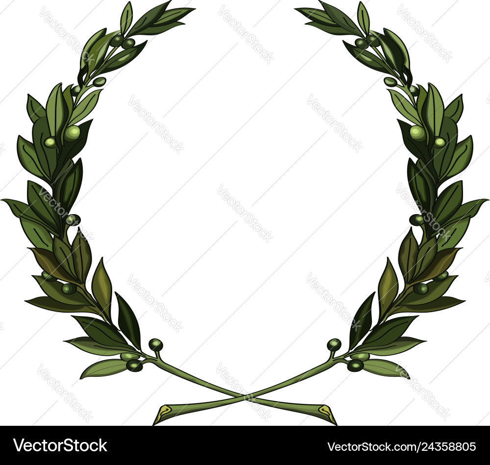 Olive branches Royalty Free Vector Image - VectorStock
