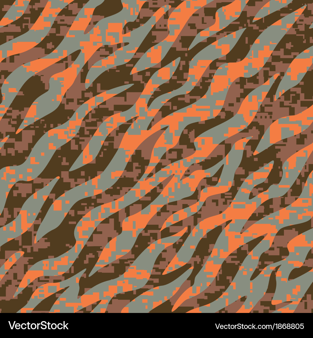 Zebra Stripe Pattern vector image