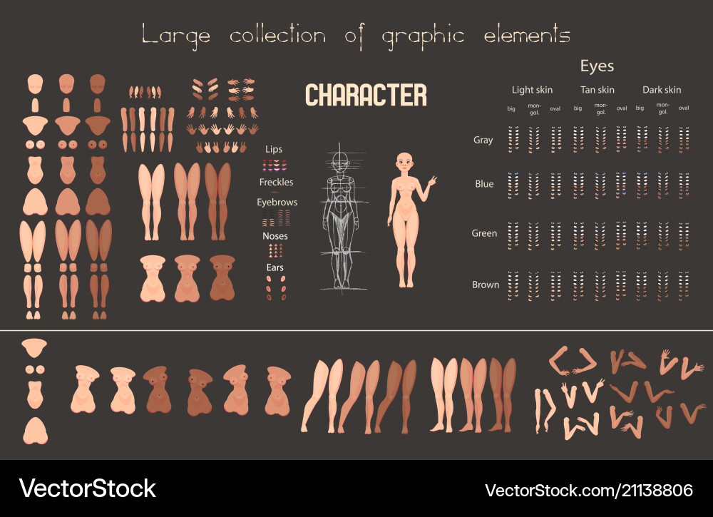 Stylized Character Set - Animation Vector Image