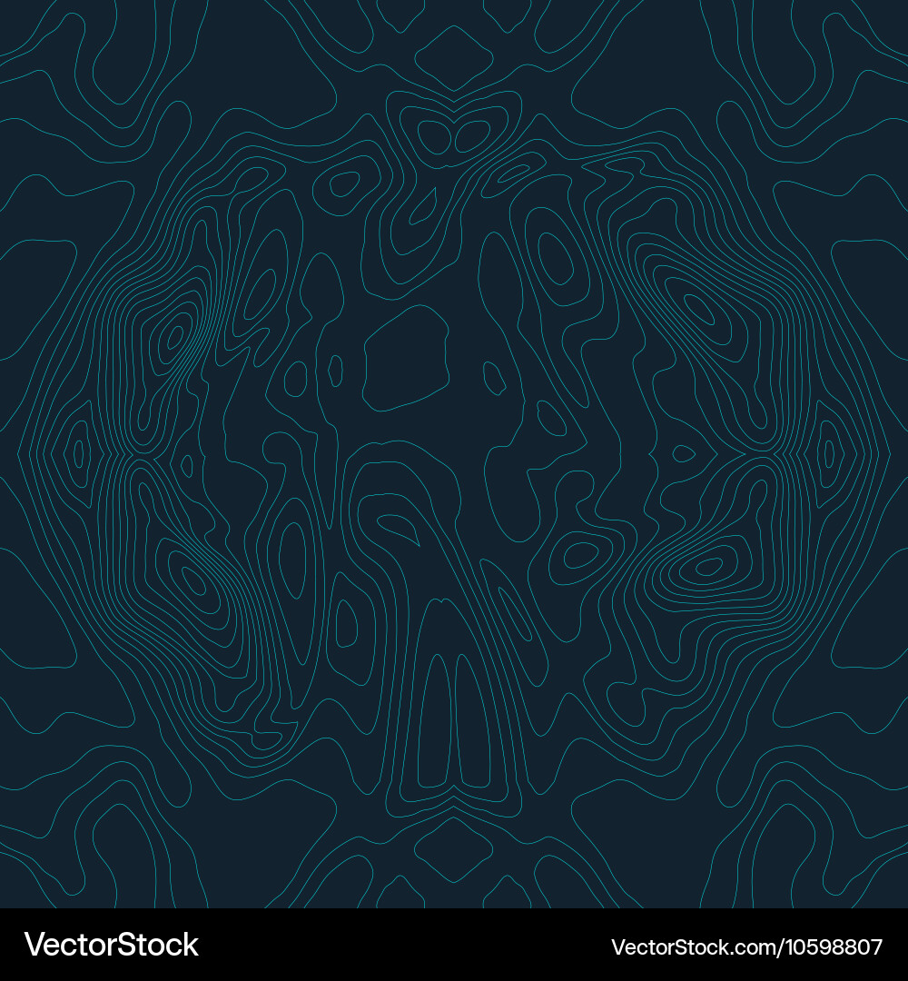 Abstract Topographic Map Pattern vector image