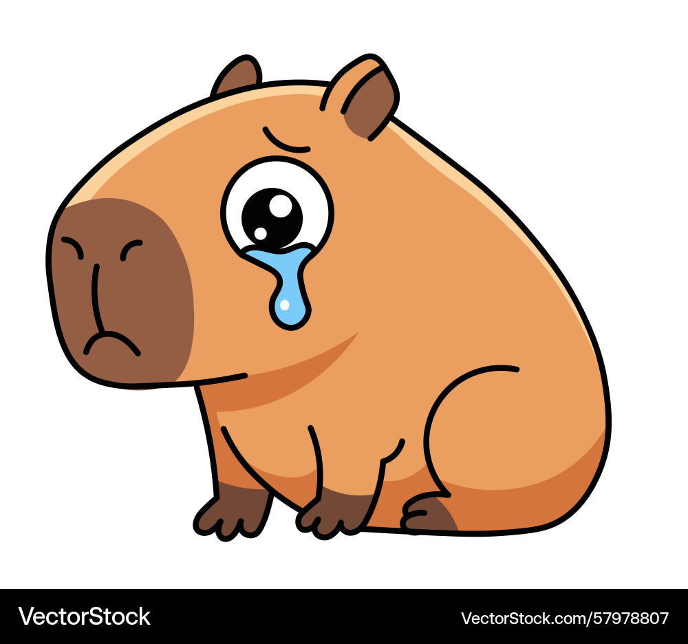 Capybara crying with a big teardrop Vector Image