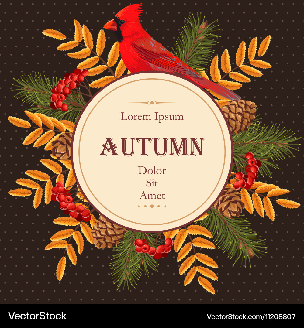 Card with redbird and rowan vector image
