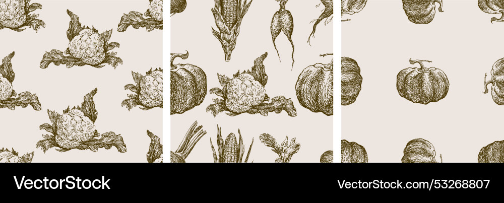Seamless patterns of sketches various ripe vector image