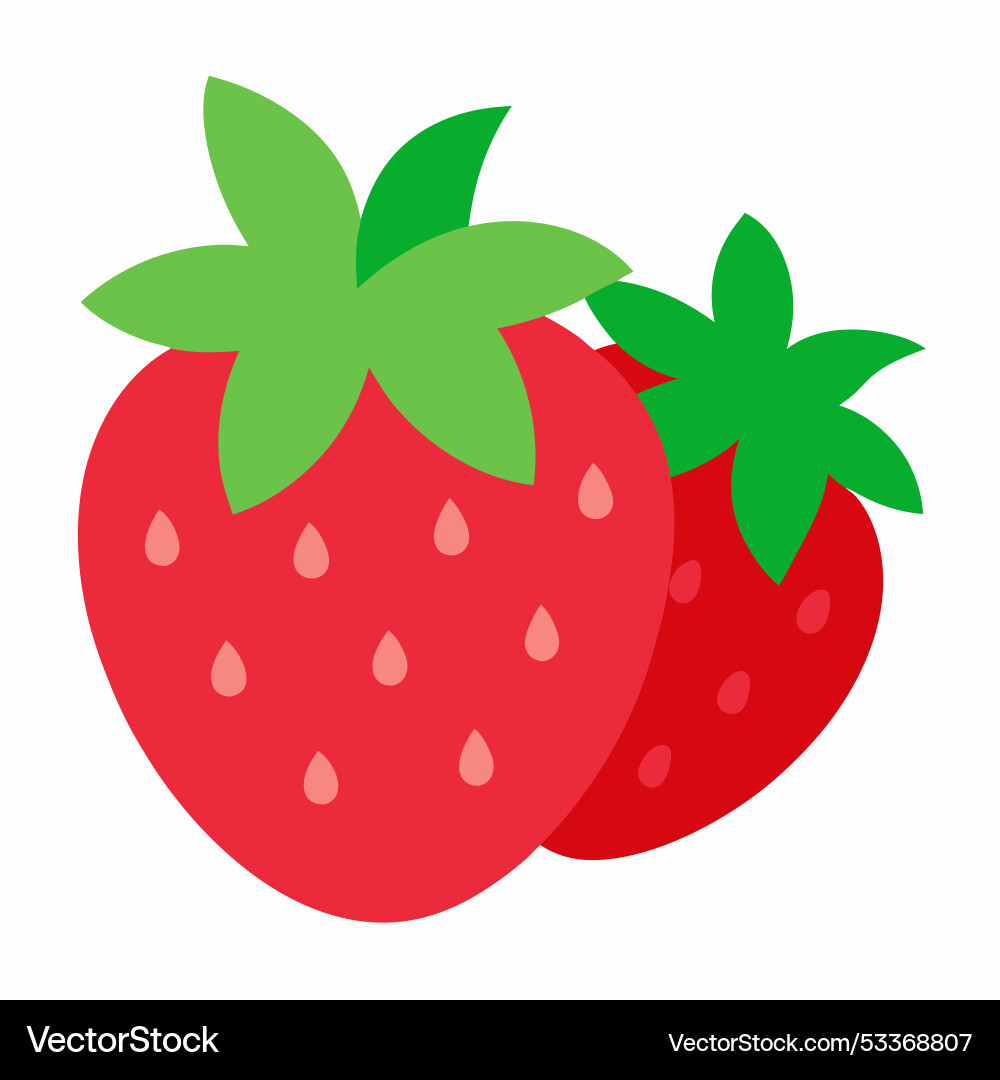 Strawberry fruits Royalty Free Vector Image - VectorStock