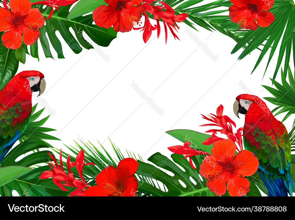 Bright frame with red tropical flowers and palm Bright frame with red tropical flowers and palm vector image
