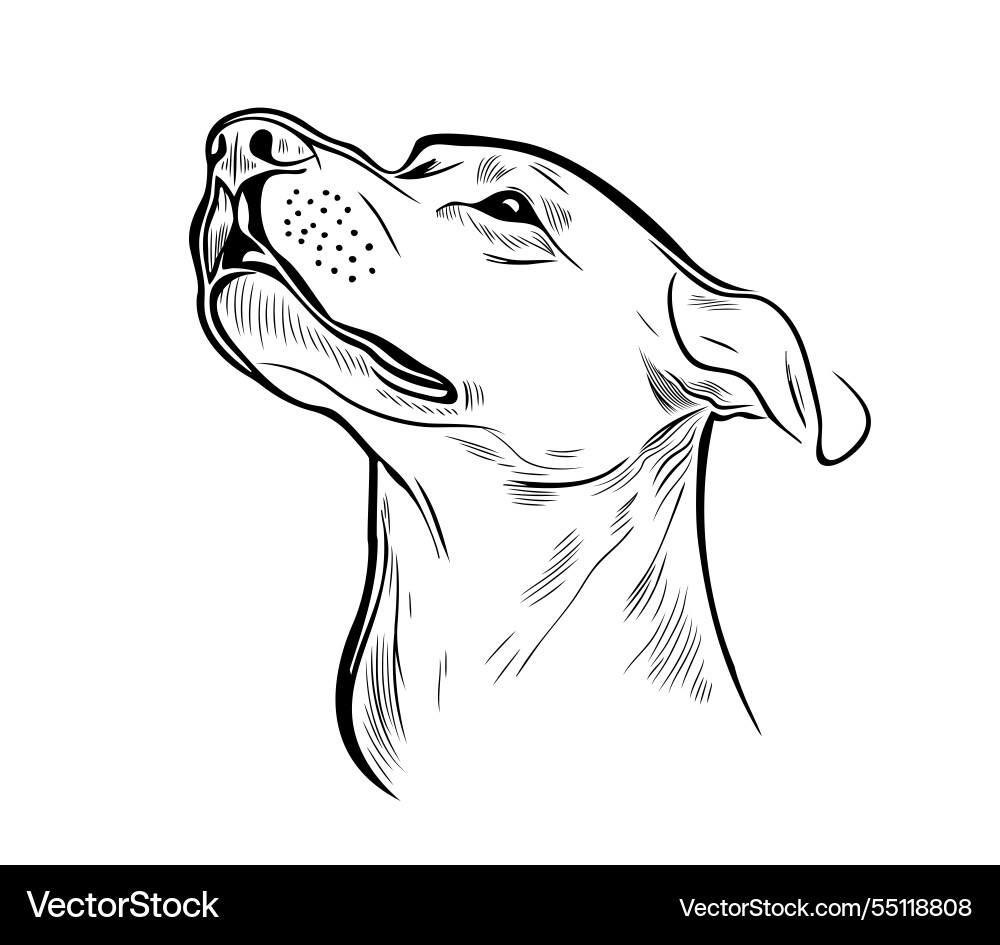 Elegant Dog Portrait - Black and White Vector Image