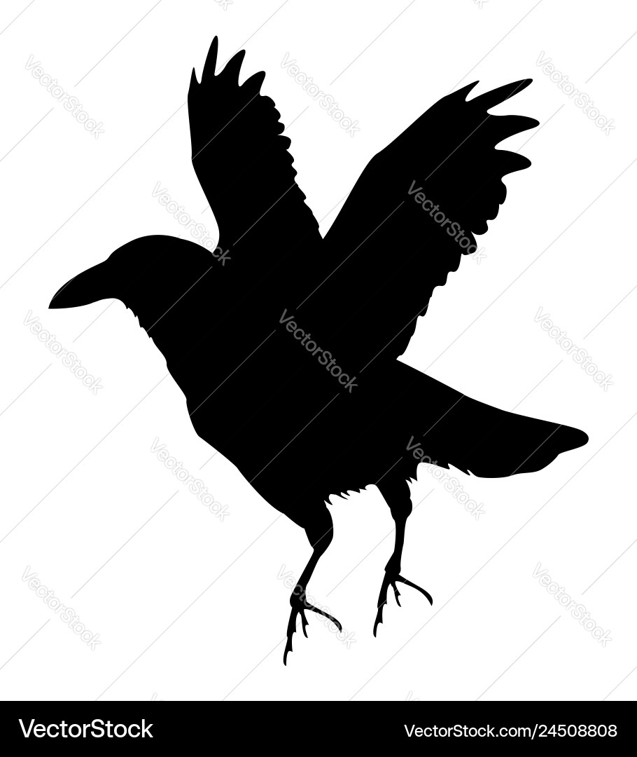 Raven Silhouette - Dark Wing Vector Image