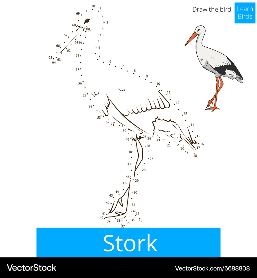 Stork bird learn to draw Vector Image
