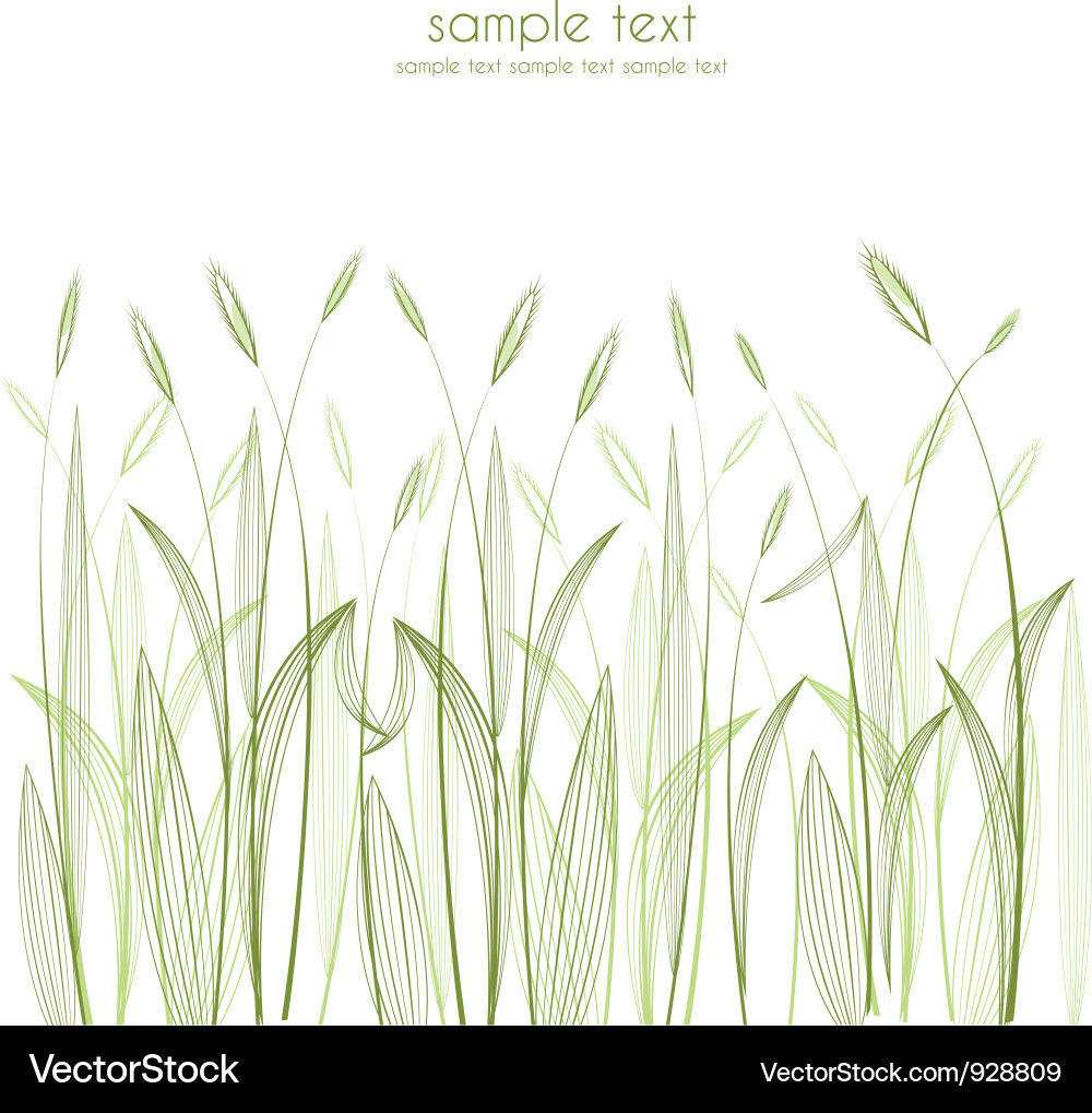 Green grass Royalty Free Vector Image - VectorStock