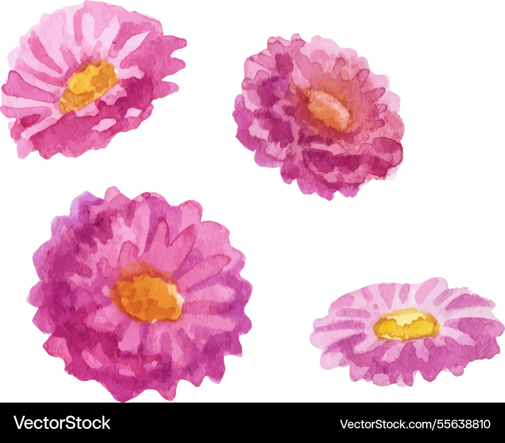 Aquarell bemalte Blume Hand gezogen Aquarell bemalte Blume Hand gezogen vektorbild