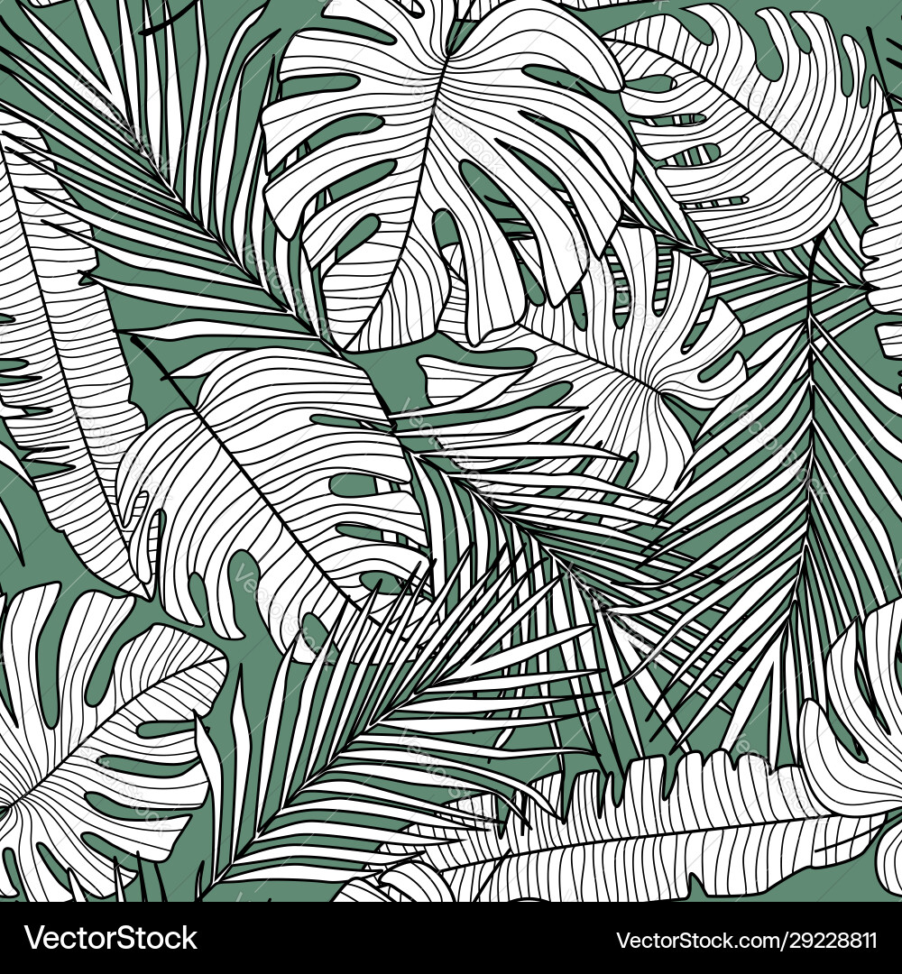 Seamless pattern with monstera line leaves Seamless pattern with monstera line leaves vector image