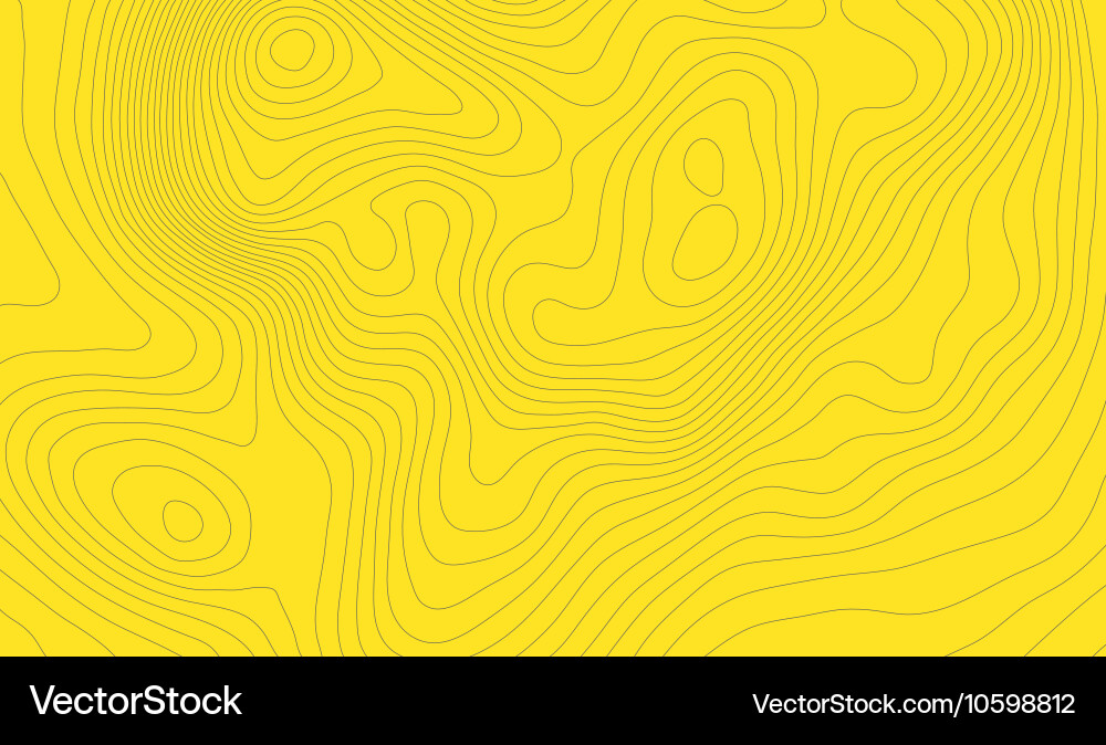 Topographic Map Background Vector Image