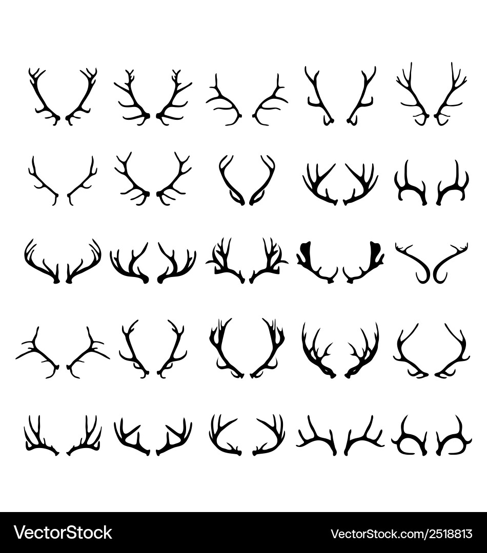 Antler Silhouettes Royalty Free Vector Image - VectorStock